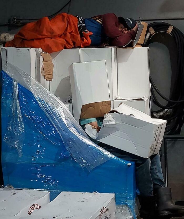 A un compañero de trabajo de un amigo le gusta tomar siestas en una caja en el trabajo