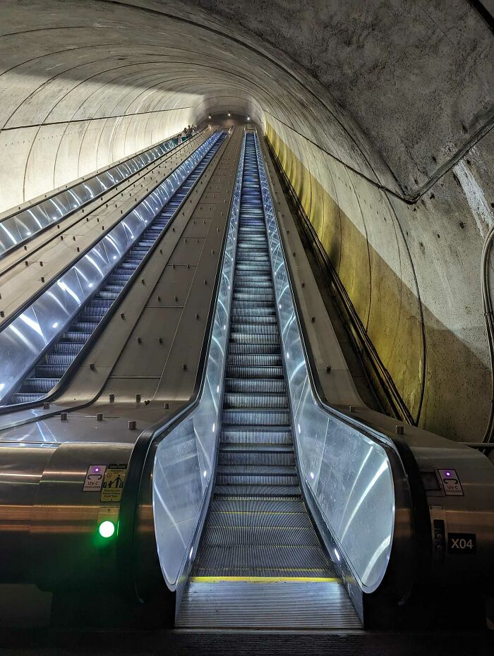 Go To The National Zoo, They Said. Take The Metro, They Said.