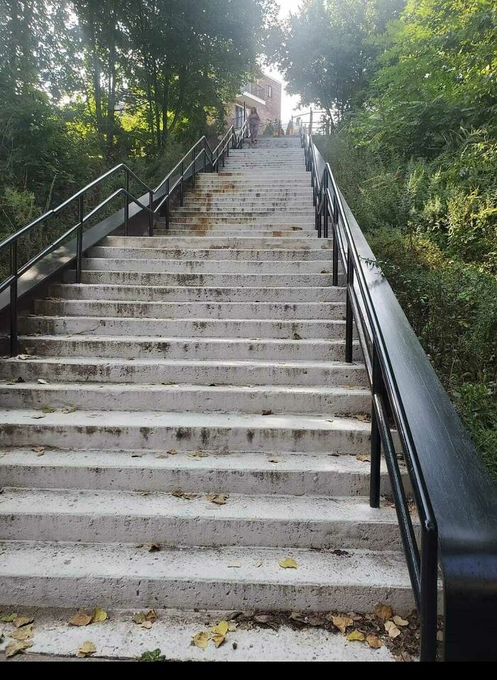 My Child's School Is At The Top