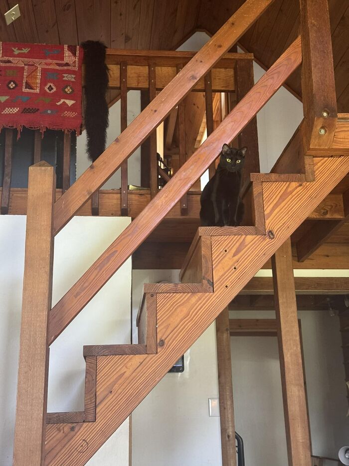 When The Rise/Run = 1