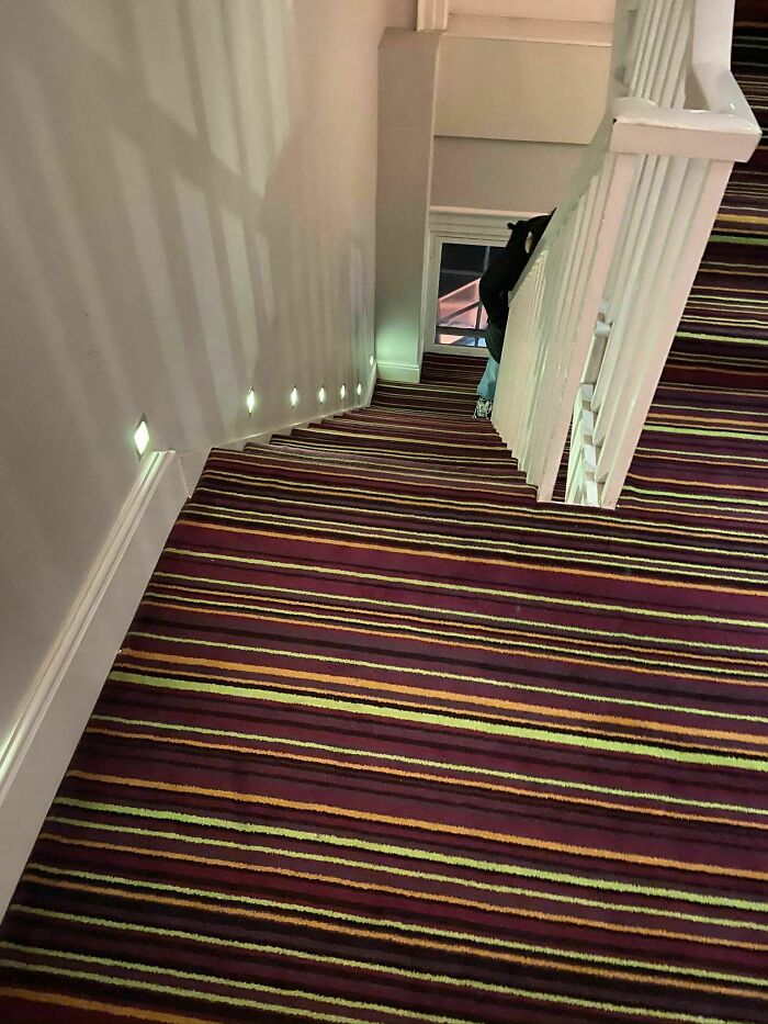 Perfect Choice Of Carpet