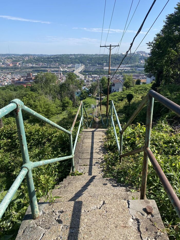 Morning Dog Walk! South Side Slopes, Pittsburgh