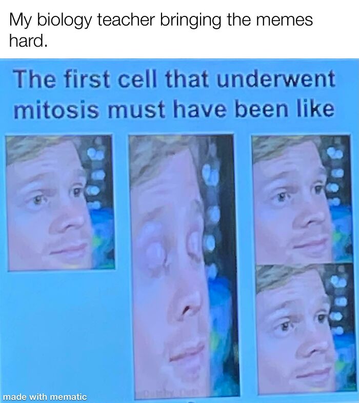 Funny meme about mitosis with a humorous sequence of a man's surprised expressions in four panels.