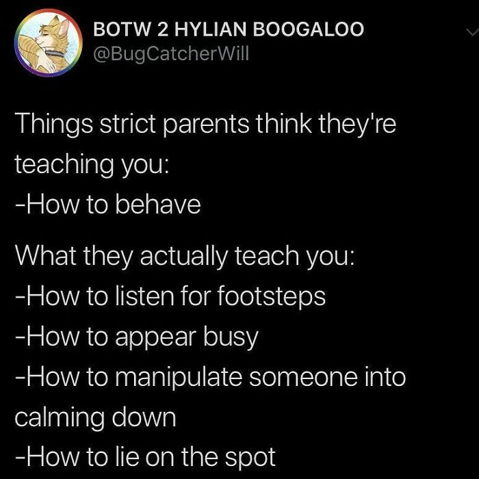 Funny meme about strict parents and unintended lessons from teenage phase.