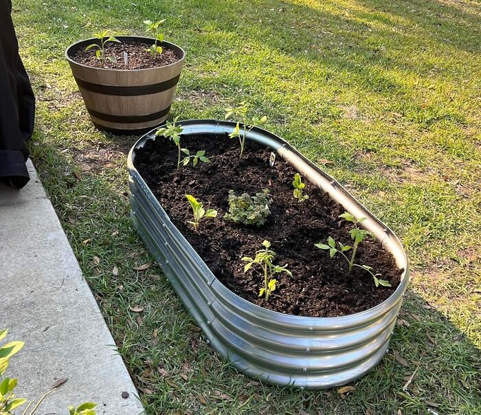 Tired Of Backbreaking Gardening? The Galvanized Raised Garden Bed Brings Your Plants Closer, Making Tending Your Garden A Breeze