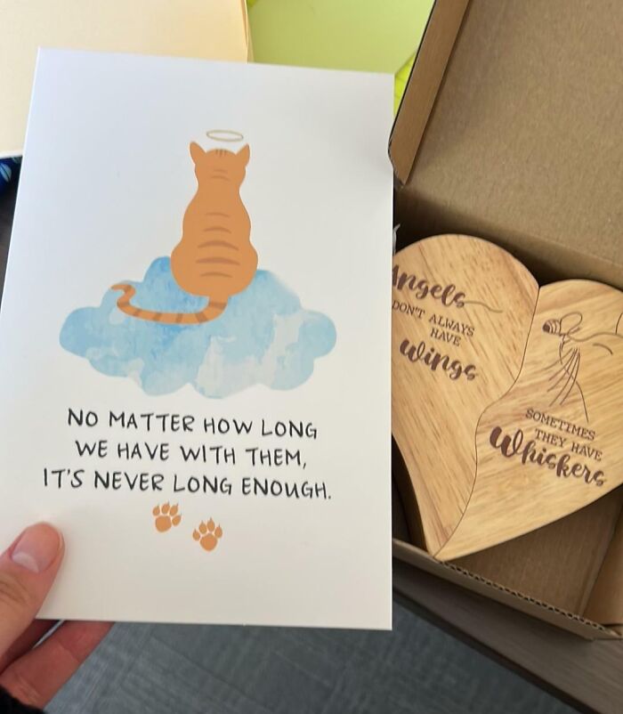 I Had To Say My Final Goodbye To My Kitty Earlier This Week And Took A Last-Minute Day Off During A Really Busy Time. I Was Worried My Coworkers Would Be Annoyed That I Was Out