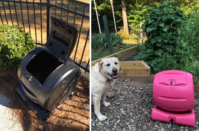  Turn Your Kitchen Scraps Into Garden Gold With The Cutest Composter In The World