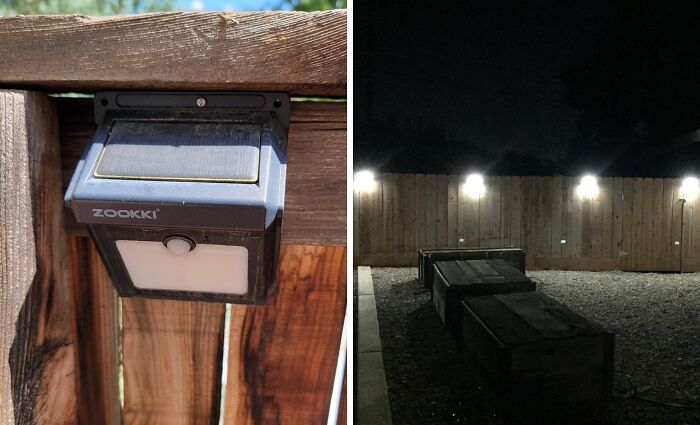 Solar garden lights illuminating a wooden fence, ideal for low-maintenance gardening enthusiasts.