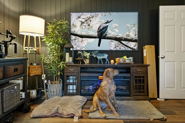 I Had A Very Basic "Humble Room" Home Office I Wanted To Change. What Do You Think?