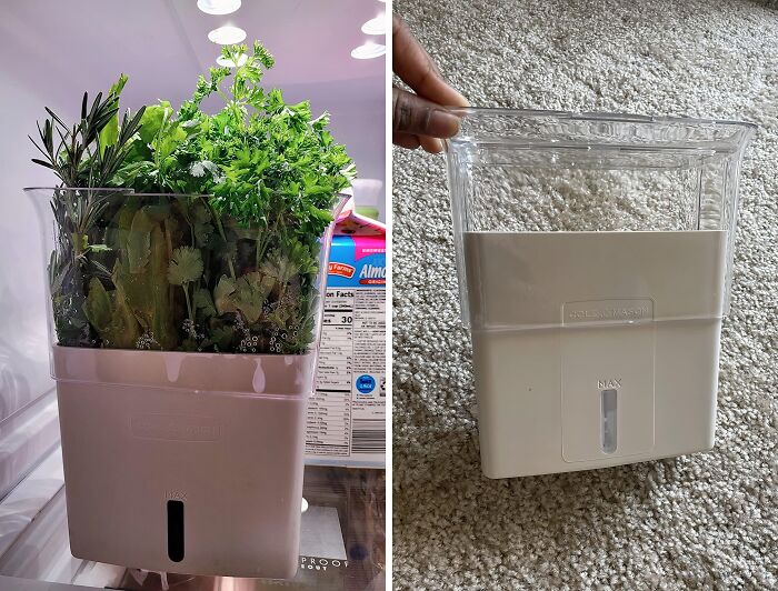  Fresh Herb Keeper Storage Container: The Fountain Of Youth For Your Basil, Cilantro, And Mint