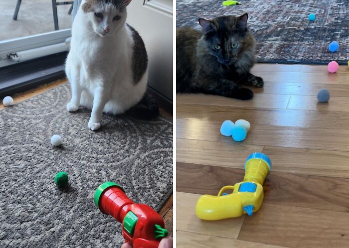 This Cat Ball Launcher Gun Is The Purrfect Way To Get Your Cat Moving