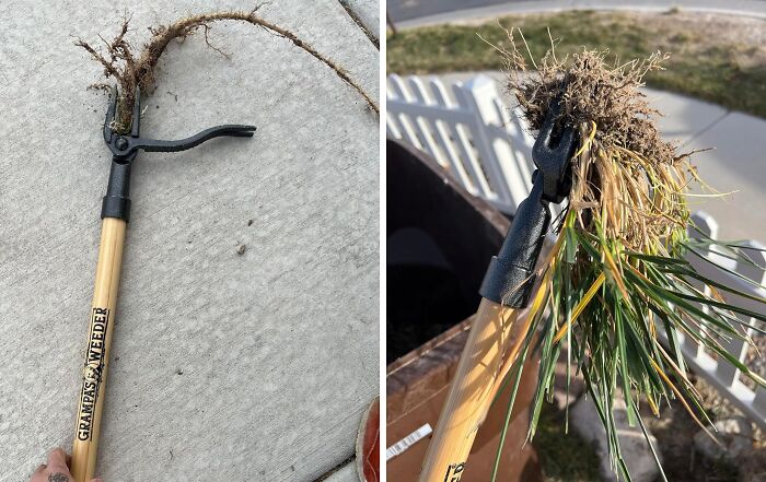 Tired Of Stubborn Weeds Taking Over Your Garden? The Original Stand Up Weed Puller Removes Them, Roots And All, With Minimal Effort