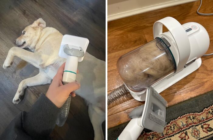  Pet Grooming Kit: Your Pet's Spa Day, Minus The Mess! 