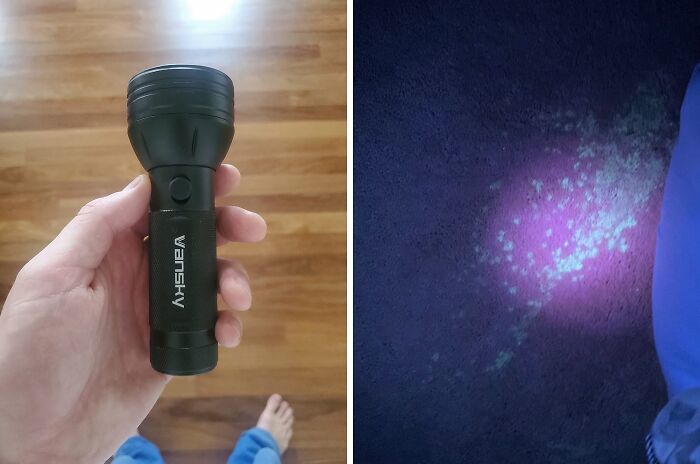 CSI: Pet Edition! This Blacklight Detector Will Reveal Your Pet's Secret Marking Spots