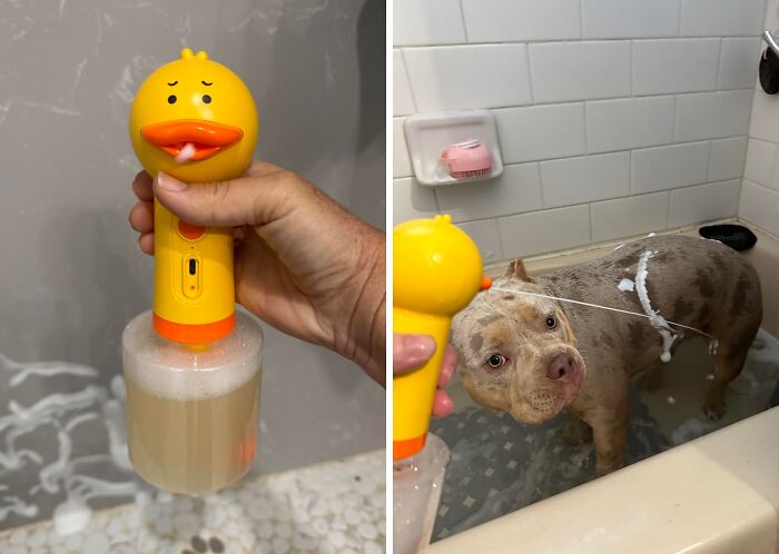 This Electric Foam Machine Sprayer Is The Holy Grail For Dog Parents Who Hate Bath Time 