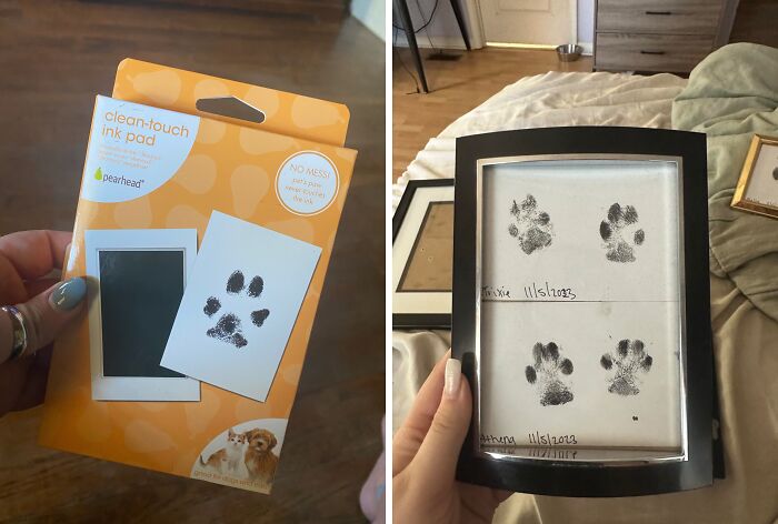 The Clean Touch Ink Pad Is The Perfect Gift For Sentimental Pet Parents