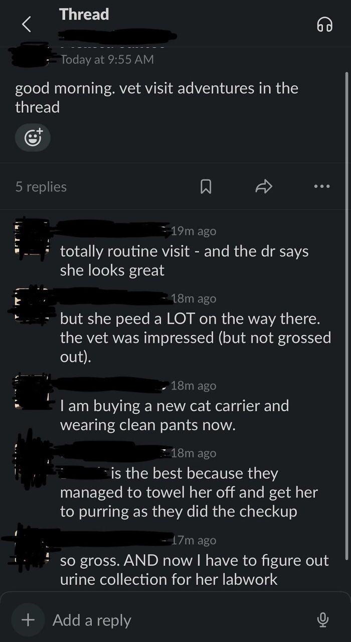 Coworker Feels The Need To Share Everything On A Company-Wide Channel. Here's Today's Latest Unrequested Update 