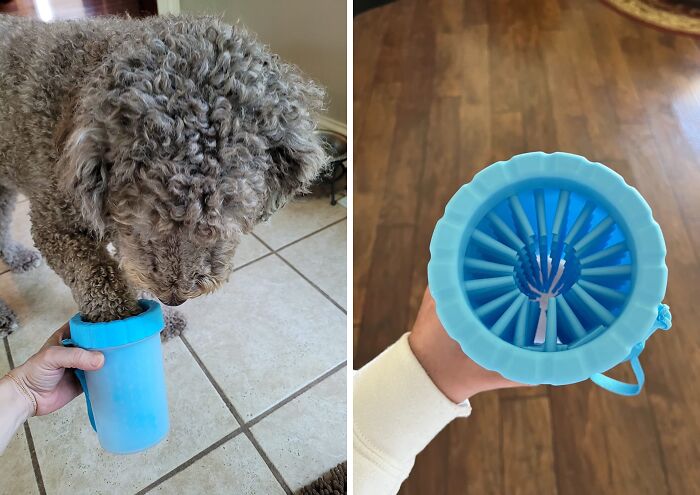 Dog using a blue paw cleaner gadget, showing pet care innovation.