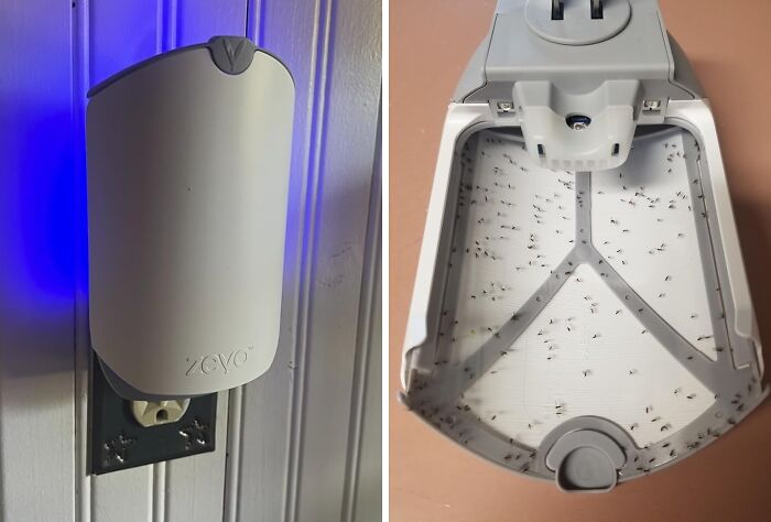 No More Gross, Sticky Fly Paper: Zevo Flying Insect Trap Is The Clean, Odorless Solution For A Pest-Free Home