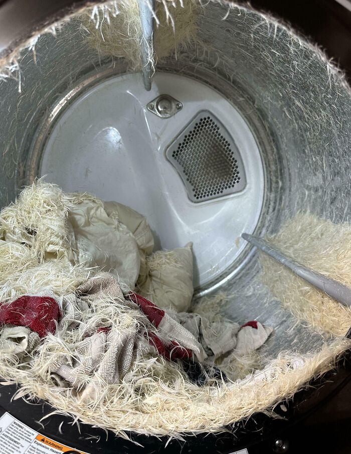 After A Long Flight We Decided To Wash And Dry The Pillows. We Brought And Made Our Laundry Room Look Like A Bird Horror Movie