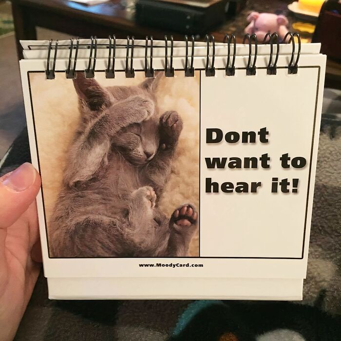Adorable cat-themed work supply with "Don't want to hear it" text to lighten Monday moods.