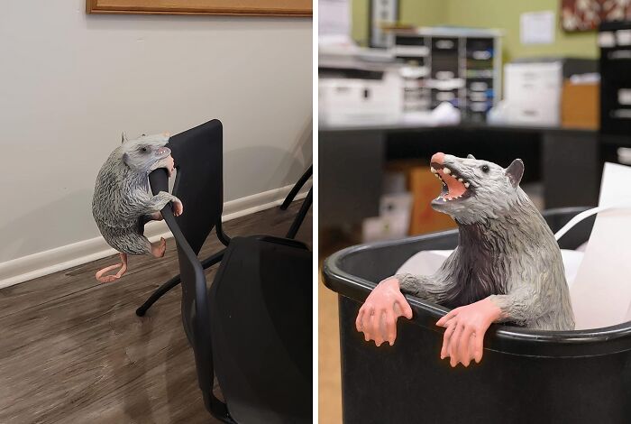 Possum desk accessories in an office setting, adding humor to work supplies.