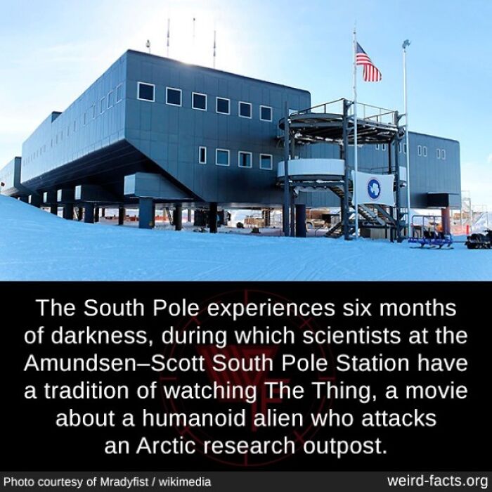 South Pole station in snow, scientists watch "The Thing" during six months of darkness, showcasing weird facts.