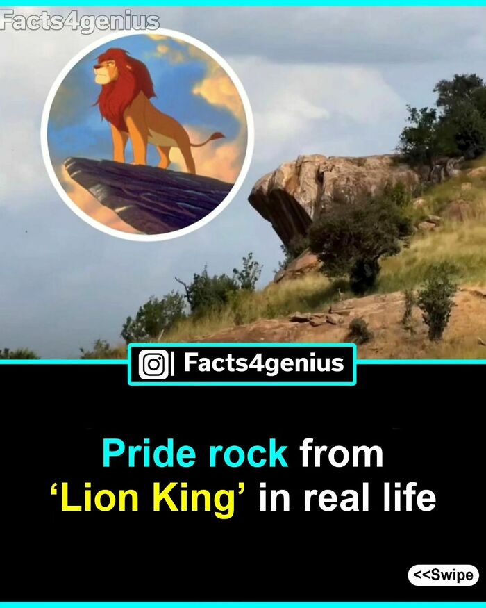 Real-life rock resembling Pride Rock from Lion King with animated lion inset, shared by Facts4genius.