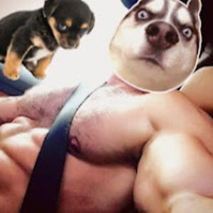 erniemarquisdesade avatar