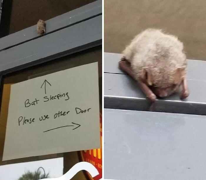 Heartwarming-Wholesome-Meets-The-Internet-Posts