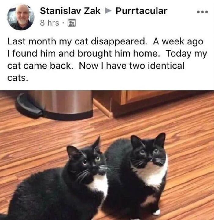 Heartwarming-Wholesome-Meets-The-Internet-Posts