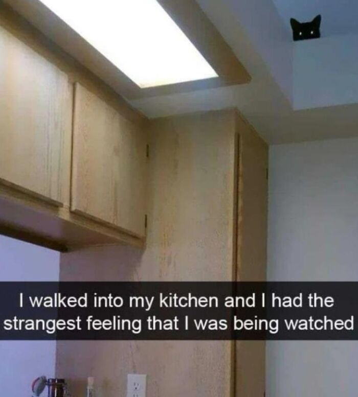 Heartwarming-Wholesome-Meets-The-Internet-Posts