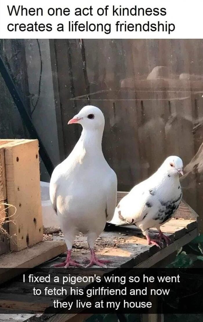 Heartwarming-Wholesome-Meets-The-Internet-Posts