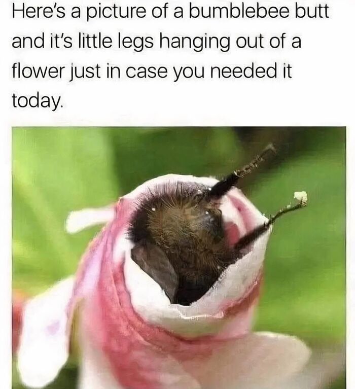 Heartwarming-Wholesome-Meets-The-Internet-Posts