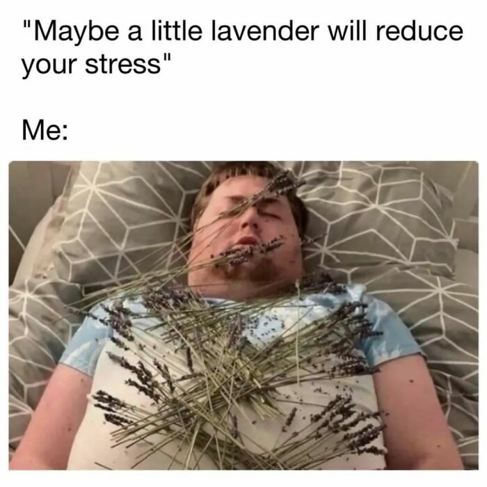 Person covered in lavender, referencing stress relief, for a funny memes collection to make you laugh.
