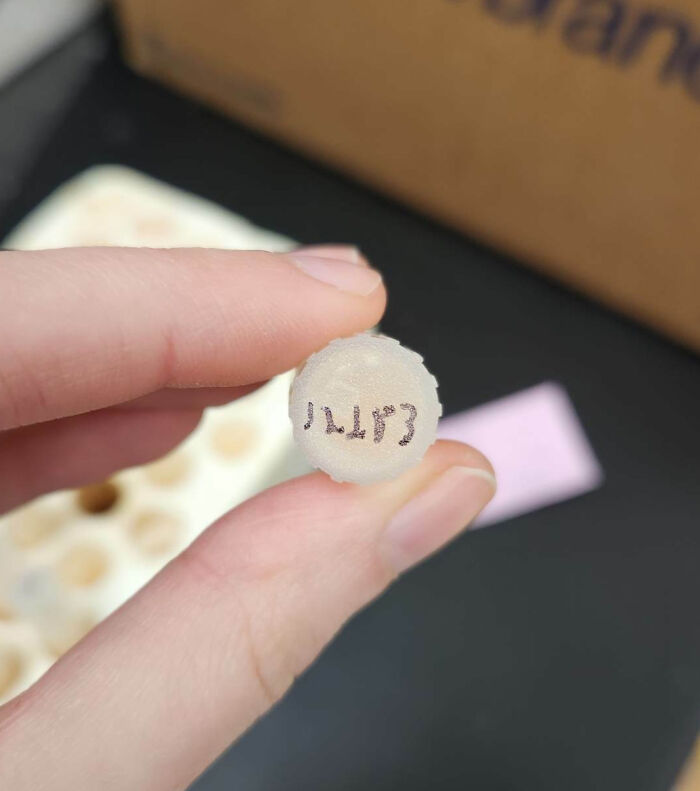 The Way My Coworker Labels Vials And Expects People To Be Able To Read Them