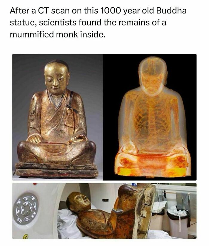 CT scan reveals mummified monk remains inside a 1000-year-old Buddha statue, a fascinating history fact followed by over 1M people.