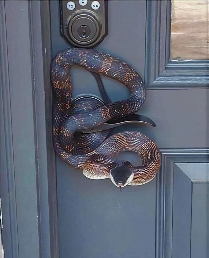 Nuevo sistema de seguridad