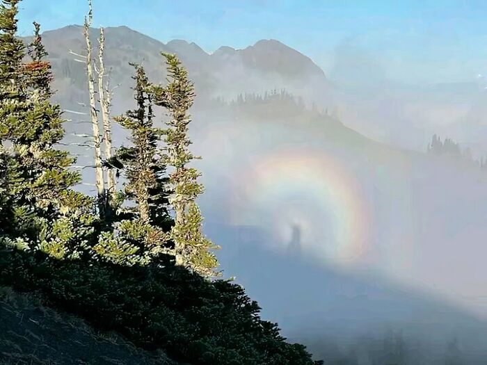 Hace un par de días, mientras caminaba por el Parque Nacional Olímpico, experimenté algo de lo que nunca había oído hablar. Se llama espectro de Brocken o espectro de montaña. Es mi sombra en el centro del aura o "gloria".