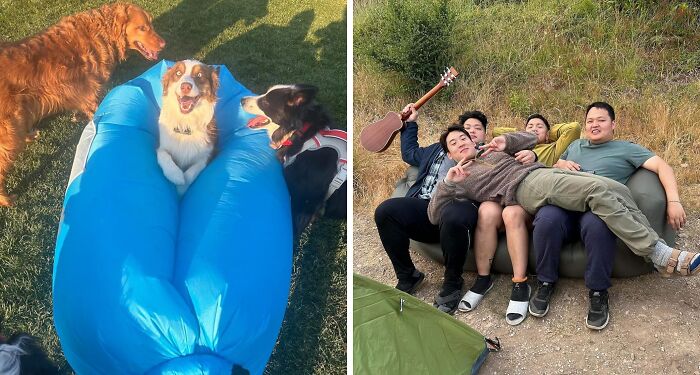 Dogs enjoying a blue inflatable seat and a group of friends relaxing with a guitar outdoors.