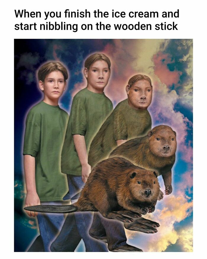 Great works of art as a funny meme showing evolution into a beaver after nibbling on an ice cream stick.