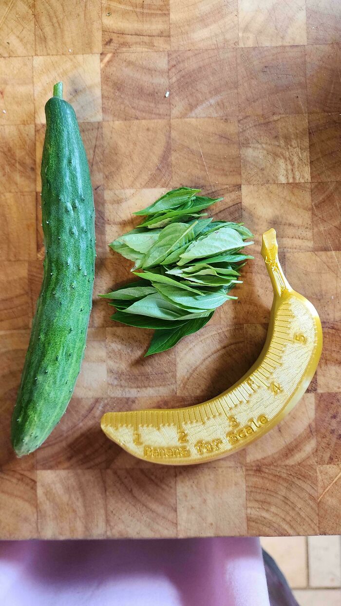Cucumber, basil leaves, and banana-shaped ruler displayed humorously on a wooden surface.