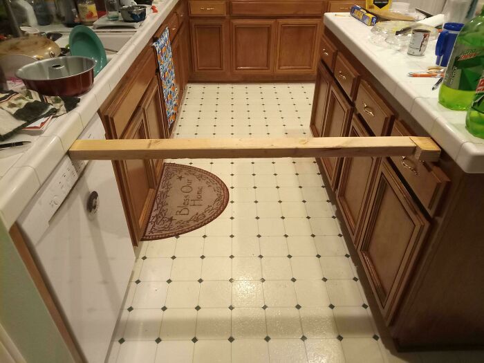 La amiga de mi novia rompió el lavavajillas