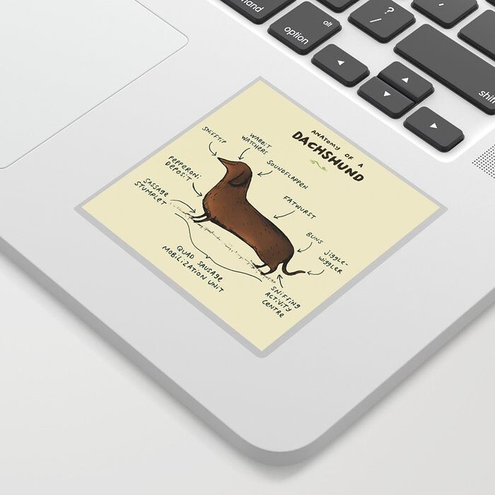  Anatomy Of A Dachshund Sticker: Because Every Doxie Deserves A Diagram That Celebrates Their Long Body And Big Heart