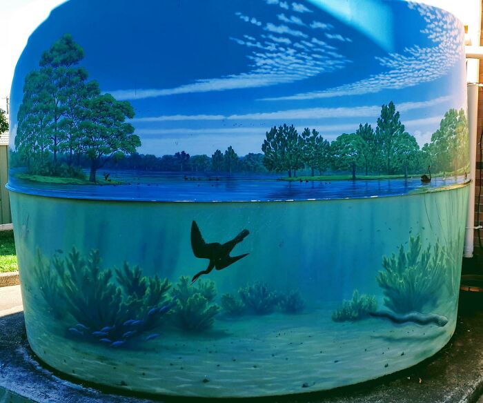 This Artwork On A Rainwater Tank At My Daughter's School Uses The Seam In The Middle As Part Of The Art, With A Convincing Effect