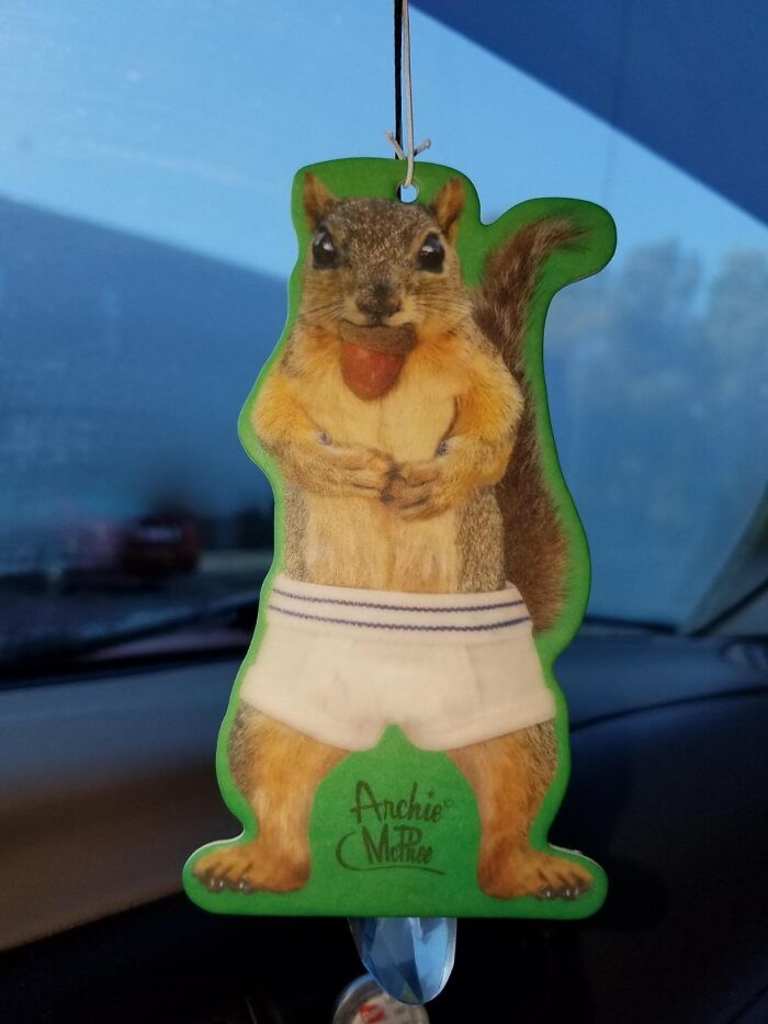  This Ain't Your Grandma's Air Freshener: Mcphee's Squirrel In Underwear Will Make You Chuckle Every Time You Get In The Car