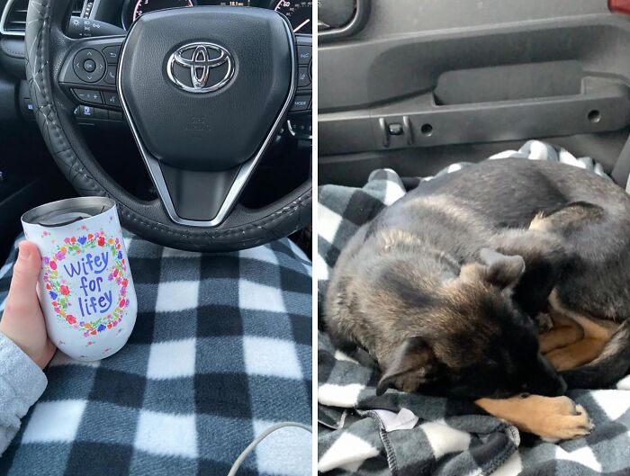 Forget Shivering In Your Car! This 12v Heated Blanket Will Turn It Into A Mobile Sauna