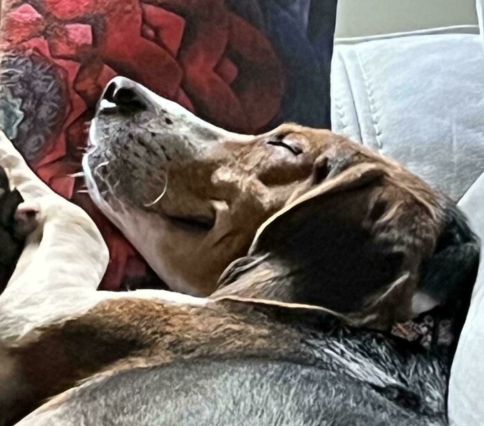 My Adopted Boy's First Day Home 