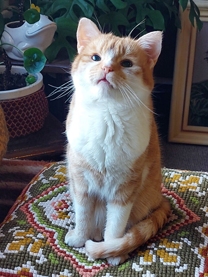 Adopted This Friend A Bit Ago 