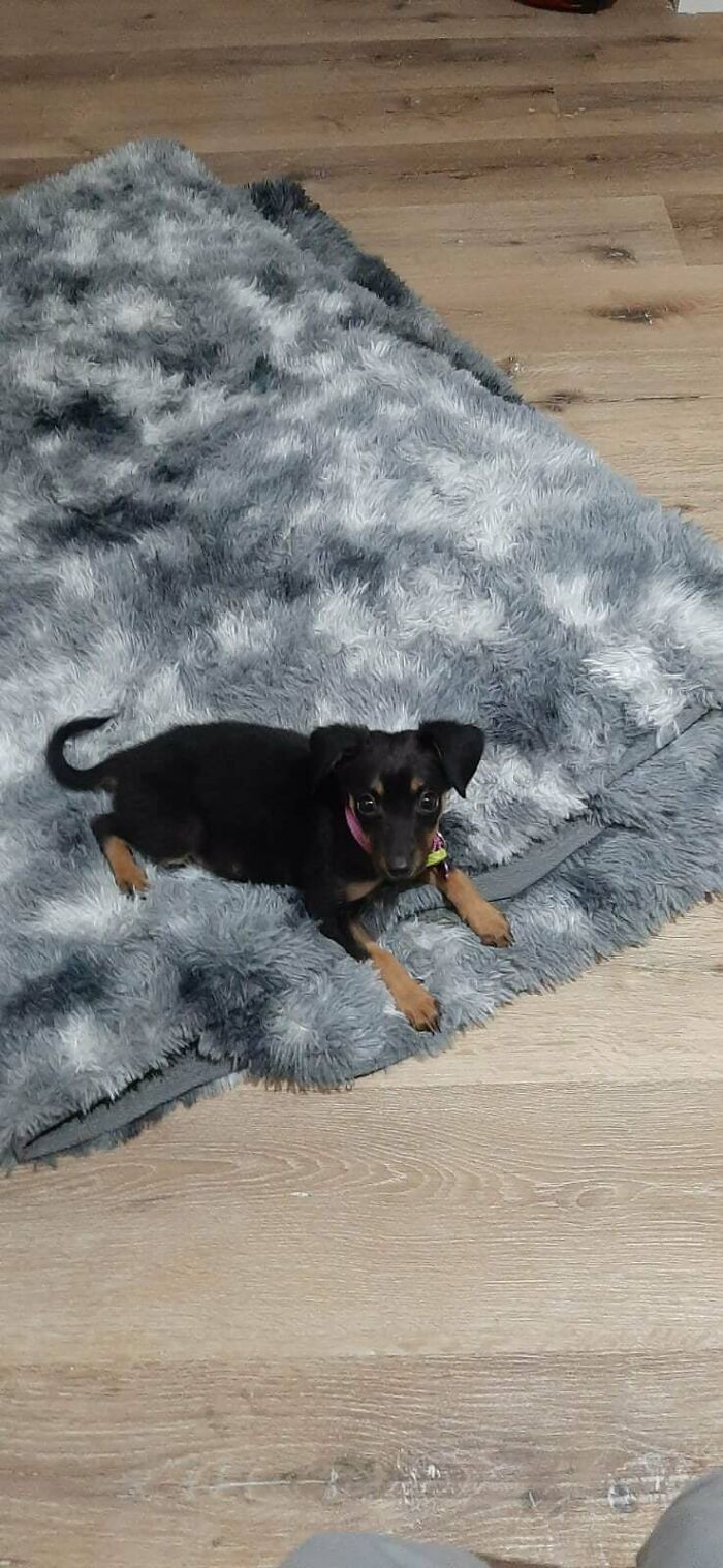 Hi I'm Nina, I Was Adopted